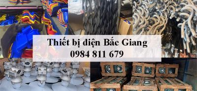 Thiết bị điện Bắc Giang, nắp chụp, giáp níu, dây buộc, sứ trung thế