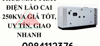 Thuê máy phát điện Lào Cai 250kVA giá tốt, uy tín, giao nhanh