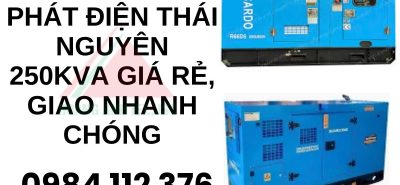 Thuê máy phát điện Thái Nguyên 250kVA giá rẻ, giao nhanh chóng