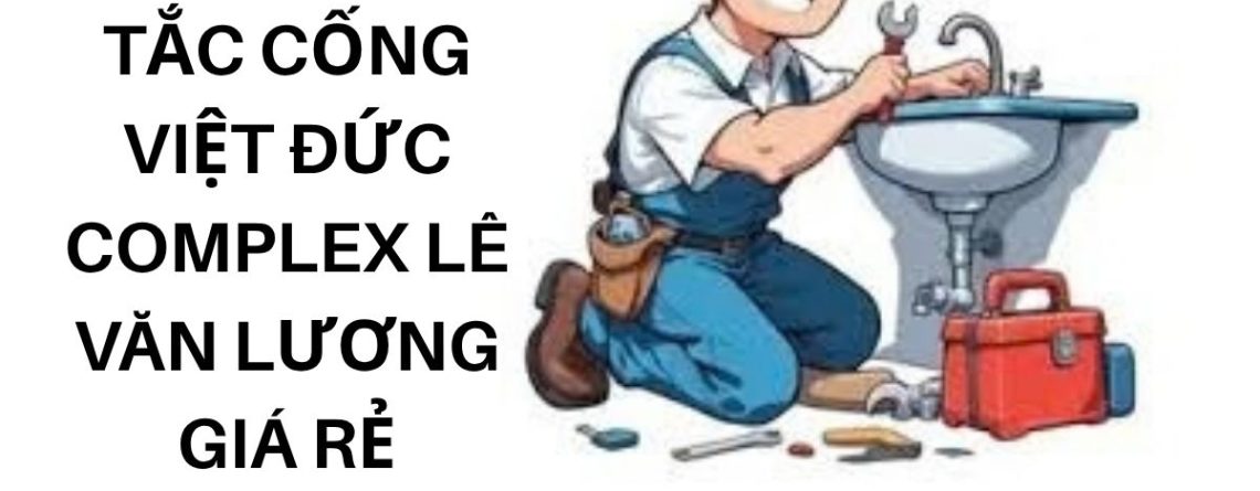 Thợ Thông Tắc Cống Việt Đức Complex Lê Văn Lương Thanh Xuân Nhanh Gọn, Sạch Sẽ