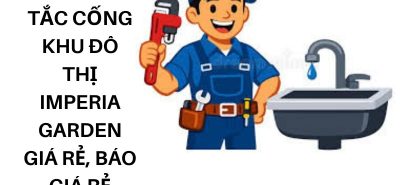Dịch Vụ Thông Tắc Cống Imperia Garden Thanh Xuân, Báo Giá Trước