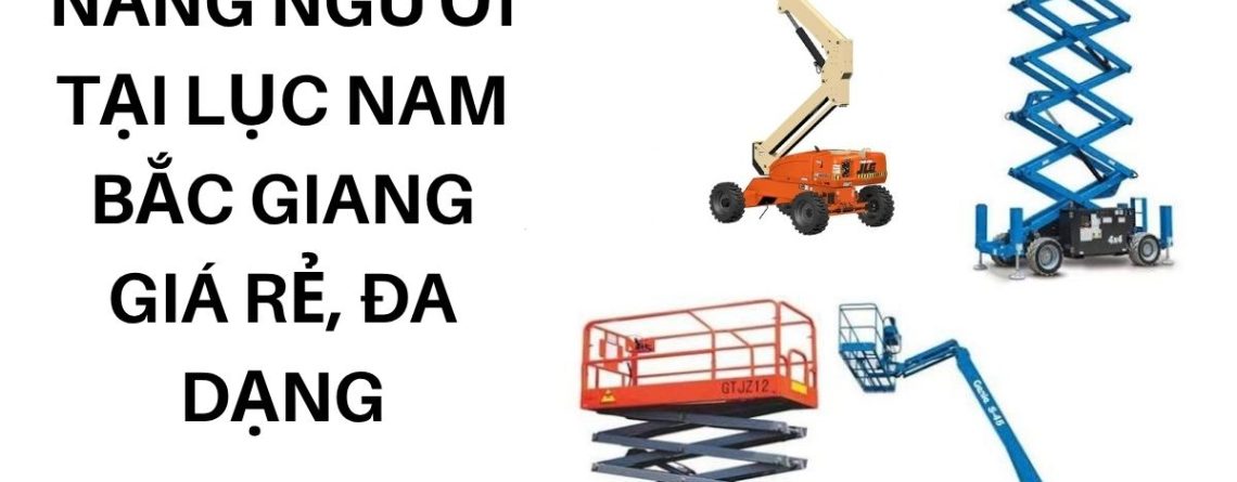 Thuê Xe Nâng Người Tại Lục Nam Bắc Giang Giá Rẻ, Đa Dạng Chiều Cao