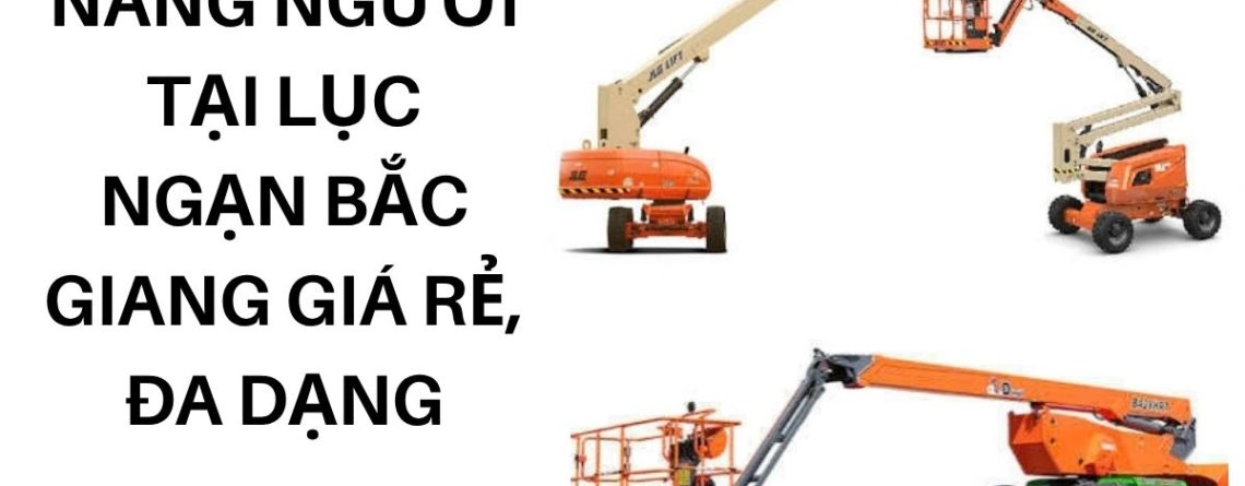 Cho Thuê Xe Nâng Người Lục Ngạn Bắc Giang – Giá Tốt, Nhiều Chiều Cao